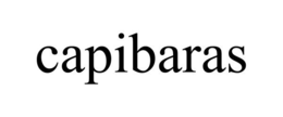 CAPIBARAS trademark
