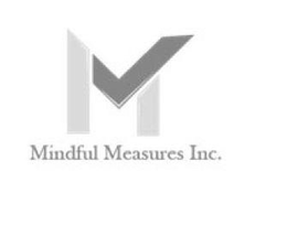 MINDFUL MEASURES INC. trademark