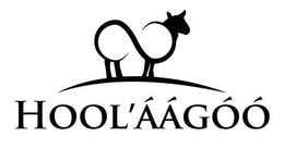 HOOL AAGOO trademark