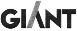 GI NT trademark