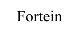 FORTEIN trademark