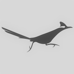 ROADRUNNER PHARMACY trademark