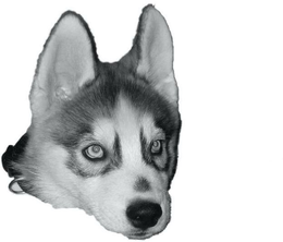 LogoMark trademark