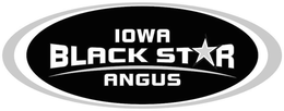 IOWA BLACK STAR ANGUS trademark