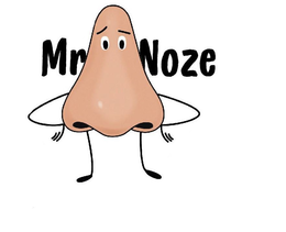 MR NOZE trademark