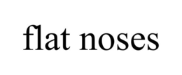 FLAT NOSES trademark