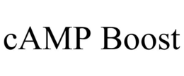 CAMP BOOST trademark