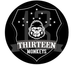 THIRTEEN MONKEYS 13 trademark