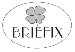 BRIEFIX trademark
