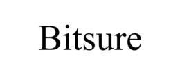 BITSURE trademark