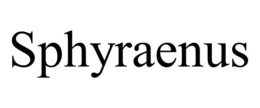 SPHYRAENUS trademark