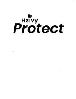 HEIVY PROTECT trademark