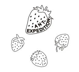ANT EXPEDITION trademark