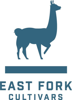 EAST FORK CULTIVARS trademark