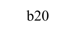 B20 trademark