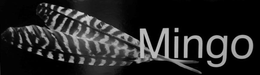 MINGO trademark