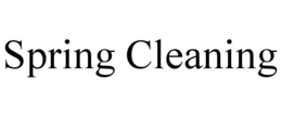 SPRING CLEANING trademark