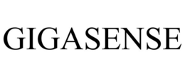 GIGASENSE trademark
