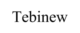 TEBINEW trademark