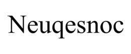 NEUQESNOC trademark