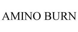 AMINO BURN trademark