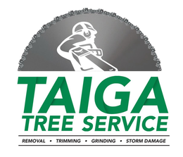 TAIGA TREE SERVICE REMOVAL GRINDING TRIMMING STORM DAMAGE trademark