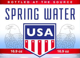 BOTTLED AT THE SOURCE SPRING WATER USA 16.9 OZ 16.9 OZ trademark