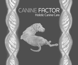 CANINE FACTOR HOLISTIC CANINE CARE trademark