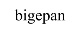 BIGEPAN trademark