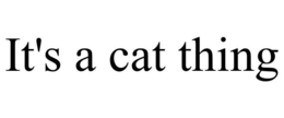 IT'S A CAT THING trademark