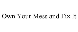 OWN YOUR MESS AND FIX IT trademark