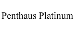 PENTHAUS PLATINUM trademark