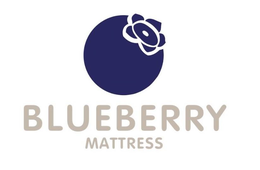 BLUEBERRY MATTRESS trademark