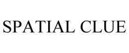 SPATIAL CLUE trademark