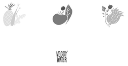 VEGGY WATER trademark