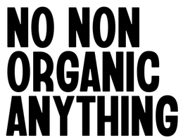 NO NON ORGANIC ANYTHING trademark