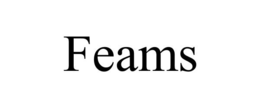 FEAMS trademark