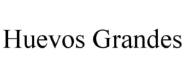 HUEVOS GRANDES trademark