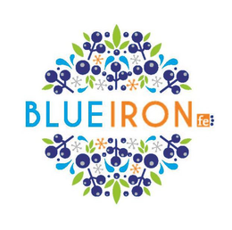 BLUEIRON FE trademark