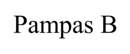 PAMPAS B trademark