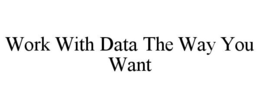 WORK WITH DATA THE WAY YOU WANT trademark