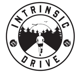 INTRINSIC DRIVE trademark