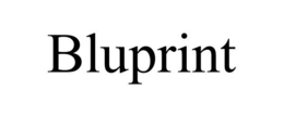 BLUPRINT trademark