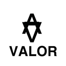 VALOR trademark