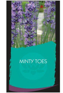 MINTY TOES trademark