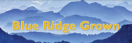 BLUE RIDGE GROWN trademark