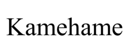 KAMEHAME trademark