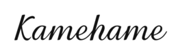 KAMEHAME trademark