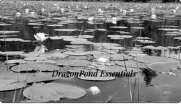 DRAGONPOND ESSENTIALS trademark