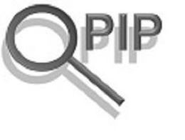 Q PIP trademark